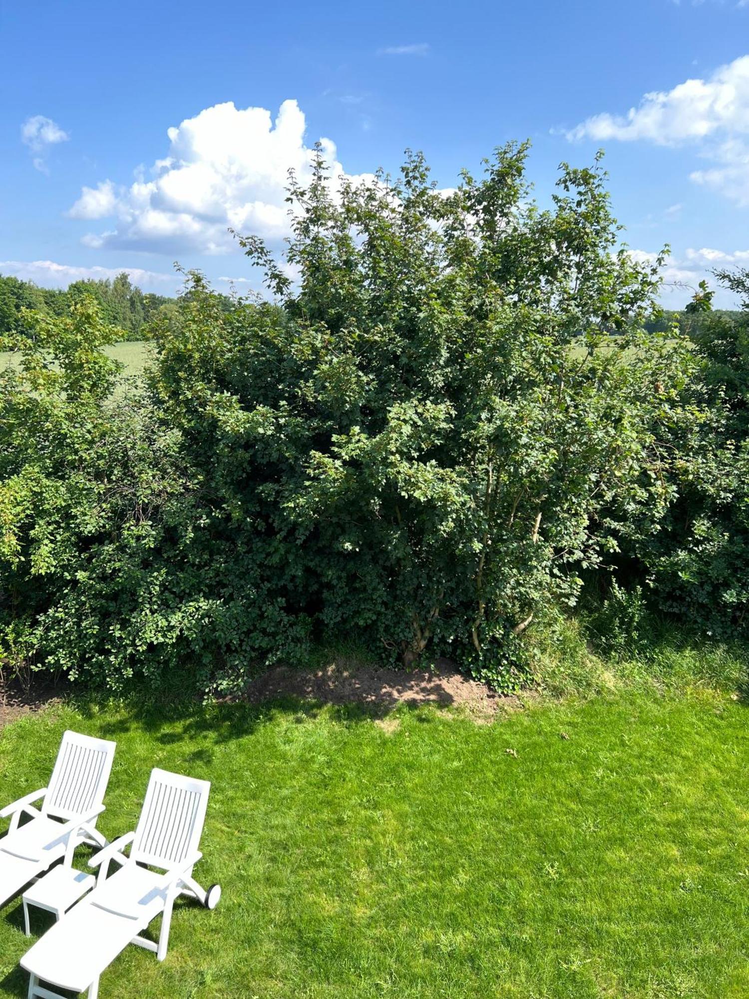 Haus Schoensee Heede Buitenkant foto
